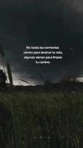 #Kardia ✍️ #frases_de_todo #pensamientos #edits  #tormenta #cambios #poesia #psicologia #superacion #lluvia  #frasesmotivadoras #sigueme_y_te_sigo #sigueme_para_mas_videos_asi #paratiiiiiiiiiiiiiiiiiiiiiiiiiiiiiii 