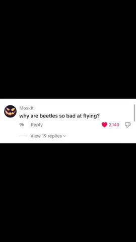 #CapCut idk what this is but it made me giggle #fyp #meme #text #commentsection #beetles #Minecraft @Iki 