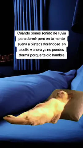 #Meme #MemeCut #CapCut #humor #fyppp #comida #México 