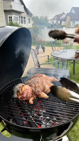 Sunday BBQs 😍  #weirdcore #creatures #weirdpets #bbq 