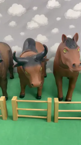 Big animals / Grandes animais #farm #dog #tractor #rooster #hen #pig #donkey #ox #bull #cow #horse #goat #sheep #cachorro #carreta #caminhao #trator #galo #galinha #porco #jumento #vaca #cavalo #cabra 
