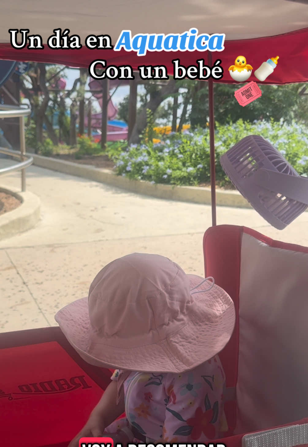 ¿Visitar Aquatica con un bebé? #aquatica #parqueacuatico #summer2025 #dailyvlog #DailyRoutine #MomsofTikTok #momtok 