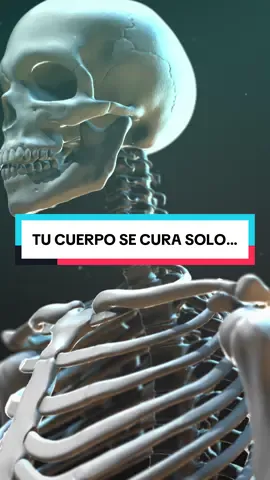 😮⚡ Tu Cuerpo Se Cura Solo… PeroSólo Si Dejas Que Pase Hambre REVISA MI LIBRO”Los Secretos Curativos de la Naturaleza “ ENLACE EN LA BIO👆 💬 ¿Desde dónde nos estás viendo? Cuéntanos en los comentarios 📲 Síguenos para optimizar tu salud #salud #saludybienestar #vidasana #consejos #cuerpo #sanacion #remedios #remediosnaturales 