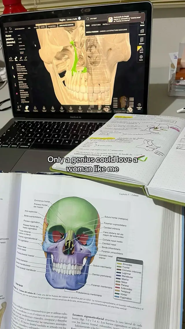 #student #studytok #studywithme📚 #discipline 