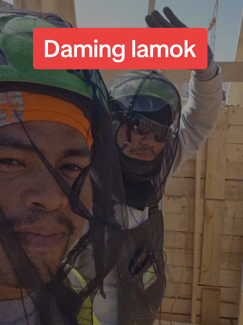 lamok ang kalaban 😅 #Greenland #viral #WorkinGL #ilulissat #funnyvideos #visaya #qaqortoq #fyp #ofw #junreyingreenland 