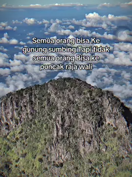 #CapCut #rajawali #mtsumbing3371mdpl #viagajahmungkur #gunungsumbing #puncakrajawali #pendakigunung 