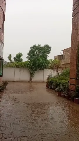 #khokhar316 @Azhar Ghaffar Tarar @Y Tarar🤗🇵🇰 