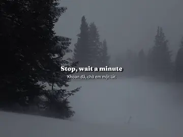 “stop, wait a minute..”                         #lyrics #vietsub #fyp 