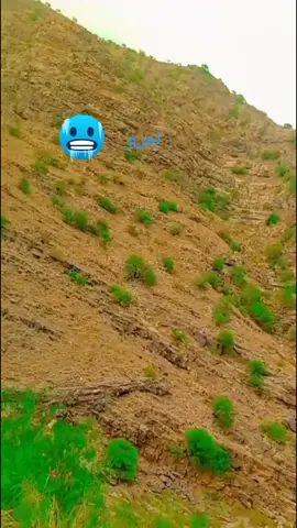#fortmunro_mini_murre  #fypシ゚viral  #fypシ゚viral 