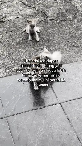 #masukberanda #fypシ゚ #beranda 