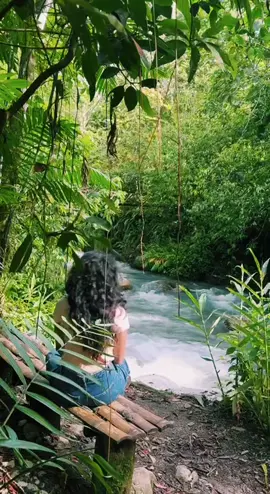 🌳 🏞️ #river #forest #peace 