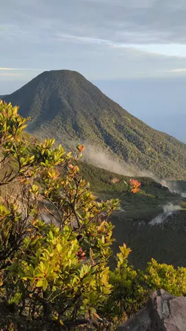 mt gede 22 juni cerah #gununggede #gedepangrango #gepangku #surken #2958mdpl 