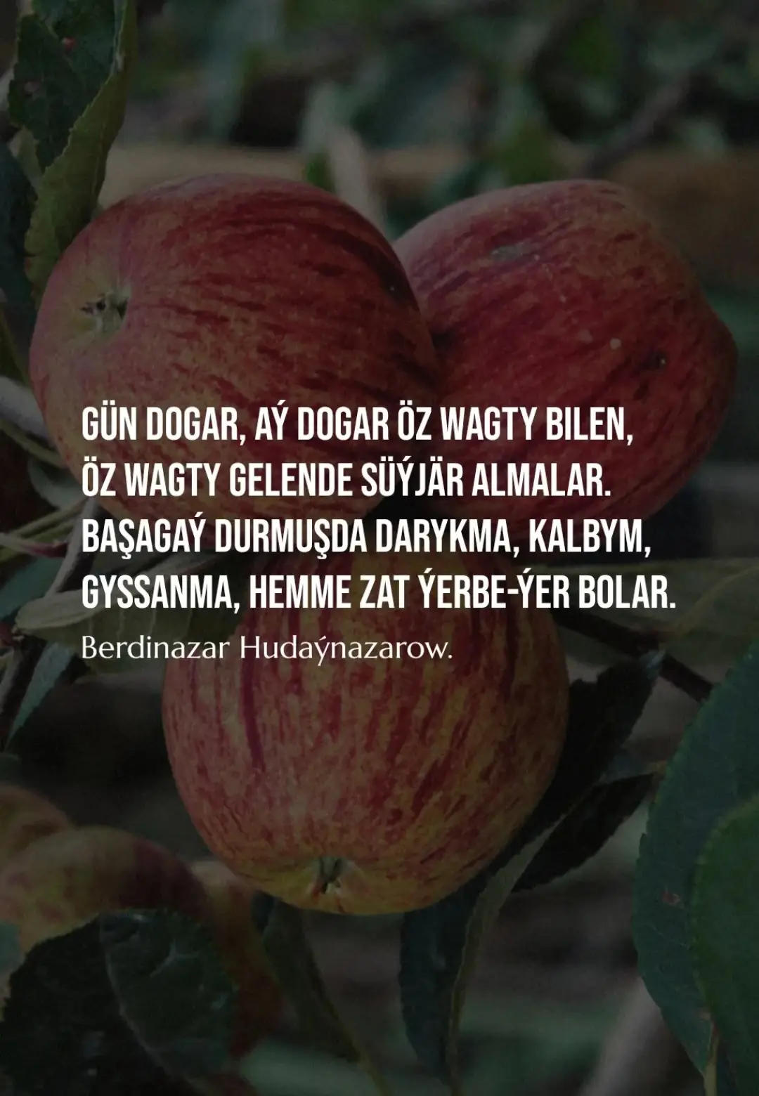 Insta: Depderim-den...