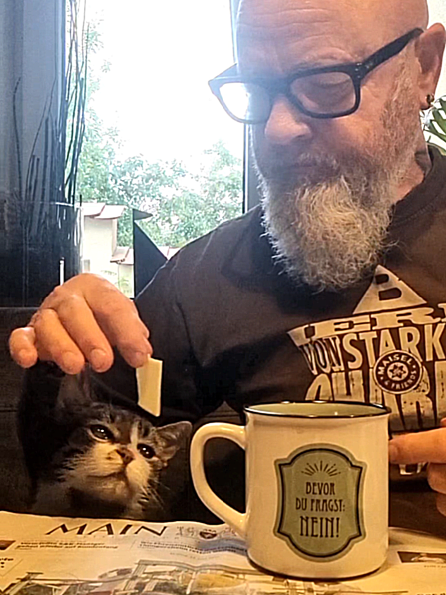 SUNNY MONDAY BREAKFAST #222 #bbb #beardedbadboys #bearded #badboy #beardedbadboysgermany #homesweethome #catlady #tattoed #inked #coffeecup #cup #catlover #tiktokcat 
