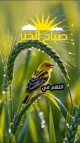 #اذكار #اذكار_الصباح #اذكار_الصباح_والمساء #اذكار_ادعية #دعاء_جميل #دعاء_يريح_القلوب #دعاء_مستجاب #دعاء #قران #قرأن_كريم_راحة_نفسية #قران_كريم  #اللهم_امين ##تصاميم #تصميمي #تصميم_فيديوهات🎶🎤🎬 #الصباح #ترند #اسلاميات #رمزيات_دينيه #طاقة_ايجابية #نصيحة_اليوم #اسلاميات_ذكر #اللهم_امين #دعاء #صباح #صباح_الخير #صباحكم_معطر_بذكر_الله  #صباحكم_أحلى_صباح  #صباح_الخيرات #طاب_يومكم #دعاء_مستجاب #دعاء_يريح_القلوب #دعاء_جميل #تصاميم #تصميمي #تصميم_فيديوهات🎶🎤🎬 #الصباح #ترند #اسلاميات #رمزيات_دينيه #طاقة_ايجابية #نصيحة_اليوم #اسلاميات_ذكر #اللهم_امين #دعاء #صباح_الخيرات #طاب_يومكم #دعاء_مستجاب #دعاء_يريح_القلوب #دعاء_جميل #ليلة_الجمعة #جمعة_مباركة💕  #جمعة_طيبة_مباركة #في_يوم_الجمعة #صباخ_الجمعة  #صباح_الخير #مساء_الخير #صباح_الورد #صباحيات #من_تصميمي #تصميمي #تصاميم  #دعاء_جميل #تصاميم_فيديوهات  #دعاء_يريح_القلوب_ويطمئن_النفوس  #تصاميم_فيديوهات🎵🎤🎬  #دعاء_عظيم #قران  #قران_كريم_راحة_نفسية  #دعاء_مستجاب  #صباح_الخيرات #طاب_يومكم #دعاء #اللهم #اسلاميات_ذكر #اسلاميات_دينيه #كلمات_أعجبتني #حكمة_اليوم #نصيحة_اليوم #طاقة_ايجابية #عبارات_تحفيزية #صباح_الخير_يا_عرب #رمزيات_دينيه #اسلاميات #ليلة_الجمعة #جمعة_مباركة💕  #جمعة_طيبة_مباركة  #صباح_الخير #مساء_الخير #صباح_الورد #صباحيات  #دعاء_جميل #دعاء_يريح_القلوب_ويطمئن_النفوس  #دعاء_عظيم #قران  #قران_كريم_راحة_نفسية  #دعاء_مستجاب  #صباح_الخيرات #طاب_يومكم #دعاء #اللهم #اسلاميات_ذكر #اسلاميات_دينيه #كلمات_أعجبتني #حكمة_اليوم #نصيحة_اليوم #طاقة_ايجابية #عبارات_تحفيزية #صباح_الخير_يا_عرب #رمزيات_دينيه #اسلاميات 