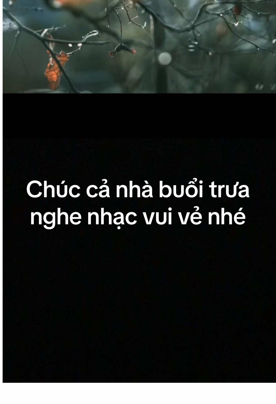 #duet cùng @@PhucLe1605 #karaokediemxua #VoiceEffects 