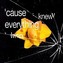 cardigan - taylor swift #cardigan #taylorswift #lyrics #brat #song #music #lyricsedit #lyricsvideo #spotify #lyrics_songs #fyp #foryou 