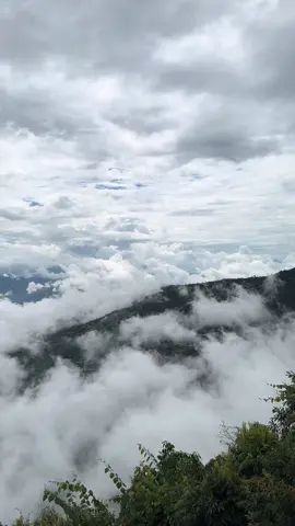 Heaven …#nature #lowkey77 #relatable 