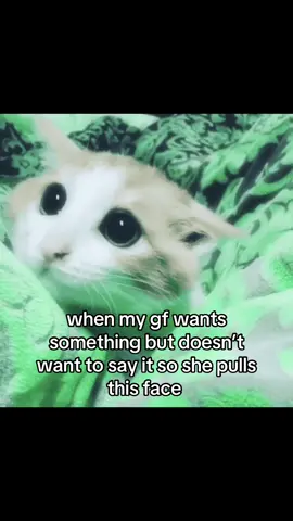 #Tatcha #cat #catsoftiktok #kitten #catmeme #sillycat #couplecomedy #Relationship #relatable #gf #girlfriend #ilovemygf #viral #fyp 