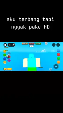 aku terbang