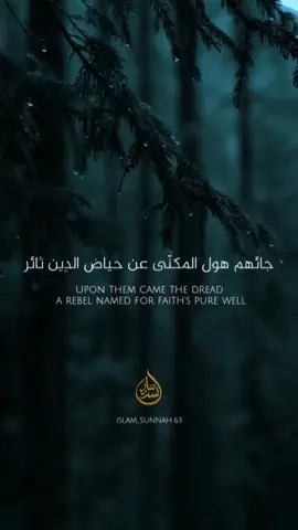 #جائهم هول المكنّى  عن حياض الدين ثائر...🌾