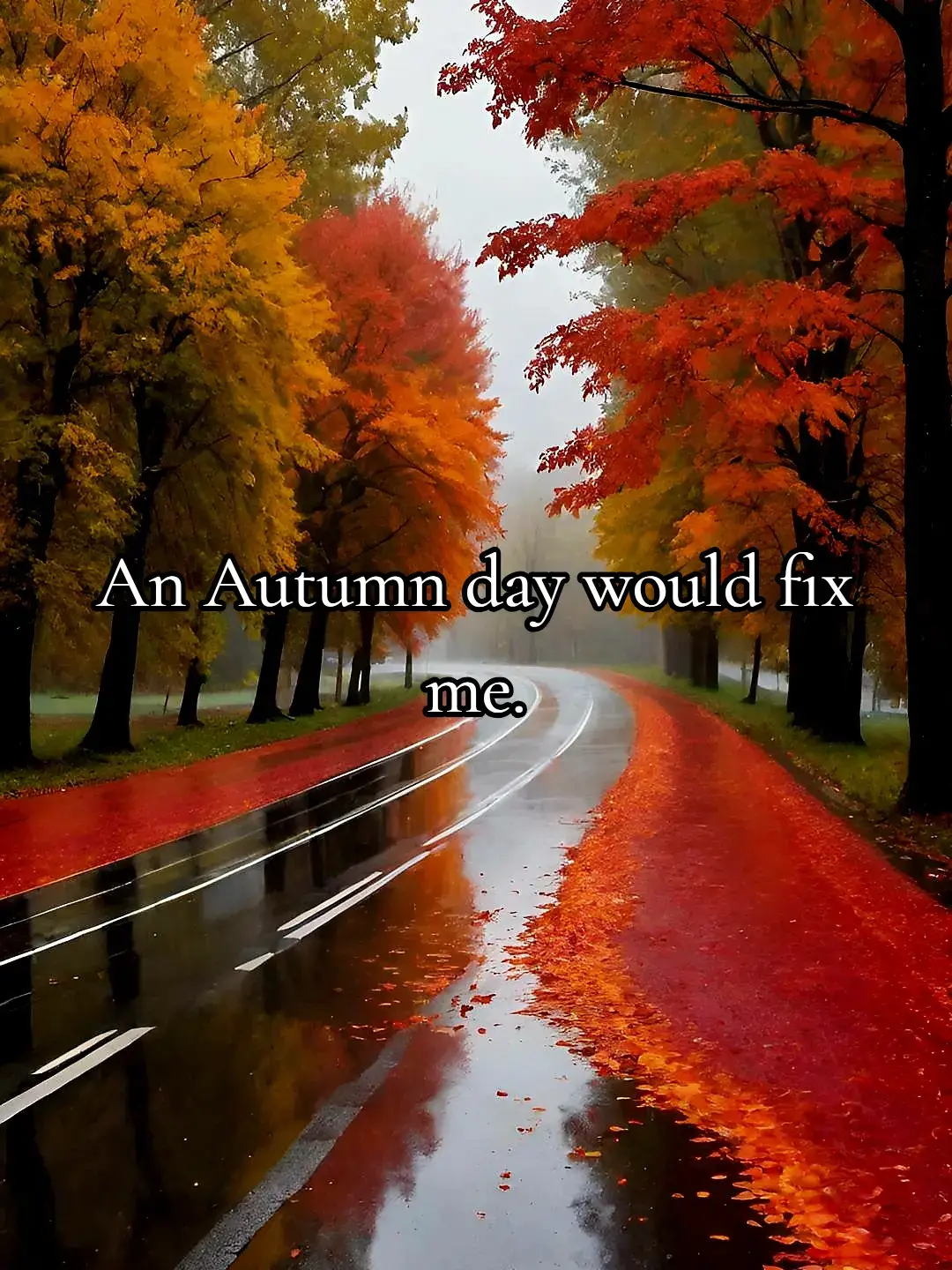 The longest day is officially over, time to see nights drawing in again 🪾🍂🍁 #wintertok #fyp #pov #tagafriend #tagsomeone #tistheseason #seasonalaccount #festive #fallvibes #autumnvibes #autumnaesthetic #rainyday #fallaesthetic #dreamingoffall #rainyday #autumntok 
