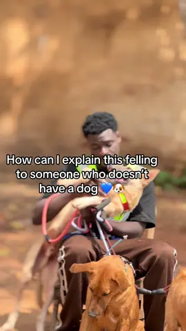 #foryoupage #animalsoftiktok 