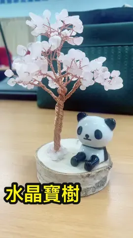 職安室的舒壓課程真的很棒 #屏東榮民總醫院  #屏東榮總  #水晶寶樹 