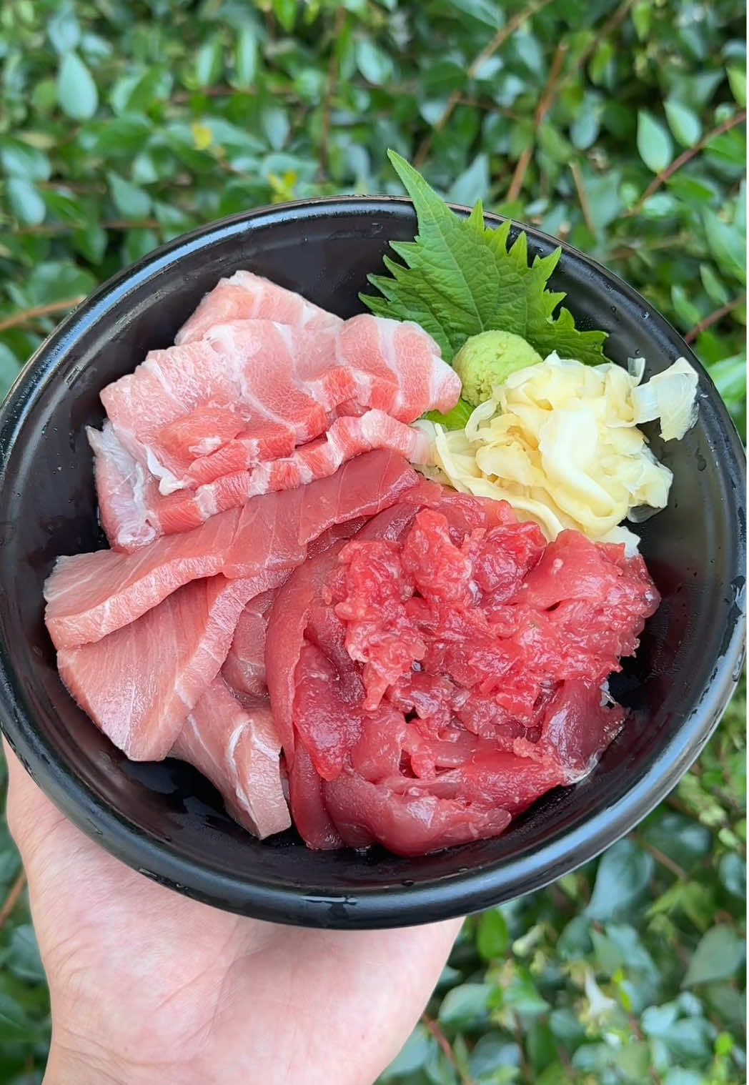 巨大マグロを捌く看板娘！築地で食べれる卸したてのマグロを使った超新鮮なマグロ丼は感動する美味しさだった！ （店名） ・キタニ水産 （営業時間） ・6:00〜15:00 （定休日） ・豊洲市場休市日 #東京グルメ #japanesefood #tiktokfood 