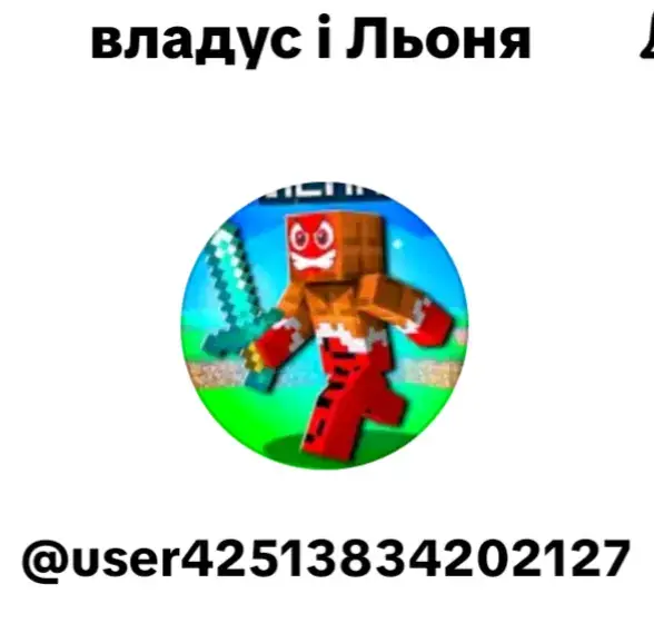 @владус і Льоня 