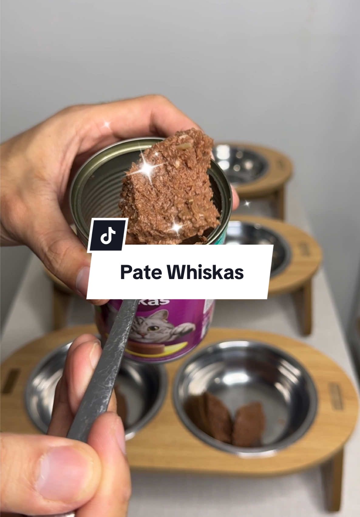 Nay mình cho tụi nhỏ ăn Pate nhà Whiskas. Nghe tụi nhỏ chóp chép mà thèm hen 😆 #thucanchomeo #doanchomeo #patechomeo #whiskas #giadinhmeo #nuoimeo #asmr 