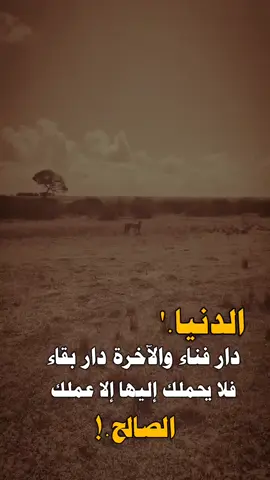 #صباح_الخير🖐🏼 #كسبورررررررررررررررررررررر #صباح_الخير🖐🏼 