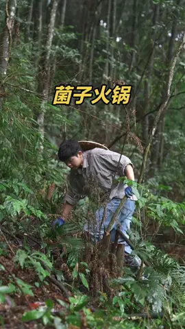 勇敢的人先享受“菌子火锅”的美味！今年的第一顿安排起来啦~😋 #农村生活  #农村美食 #新农人计划2024   #中国餐 #美食教程 #美食＃美食推薦 #美食教学 #我要上热门＃我要上热搜 #上热搜 #上热门 #美食分享 #火鍋   #hotpot  #chinesetiktok #chinesefoodlover #chinesefoodie #chinafood #DIY  #for #foryou #foryoupage #foryourpage #Foodie  #food #FoodLover #cooking #cookingtiktok #foodcooking #fyp #fypシ 