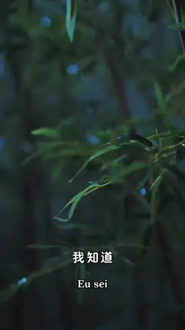 5#dramas #dramaseries #loveyou #movie #shortdramachinese #cinema #for #opera #esquerda #destaque 