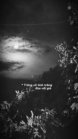 #CapCut trang vô tình trăng đùa với gió. Gió thật lòng tưởng đó là yêu