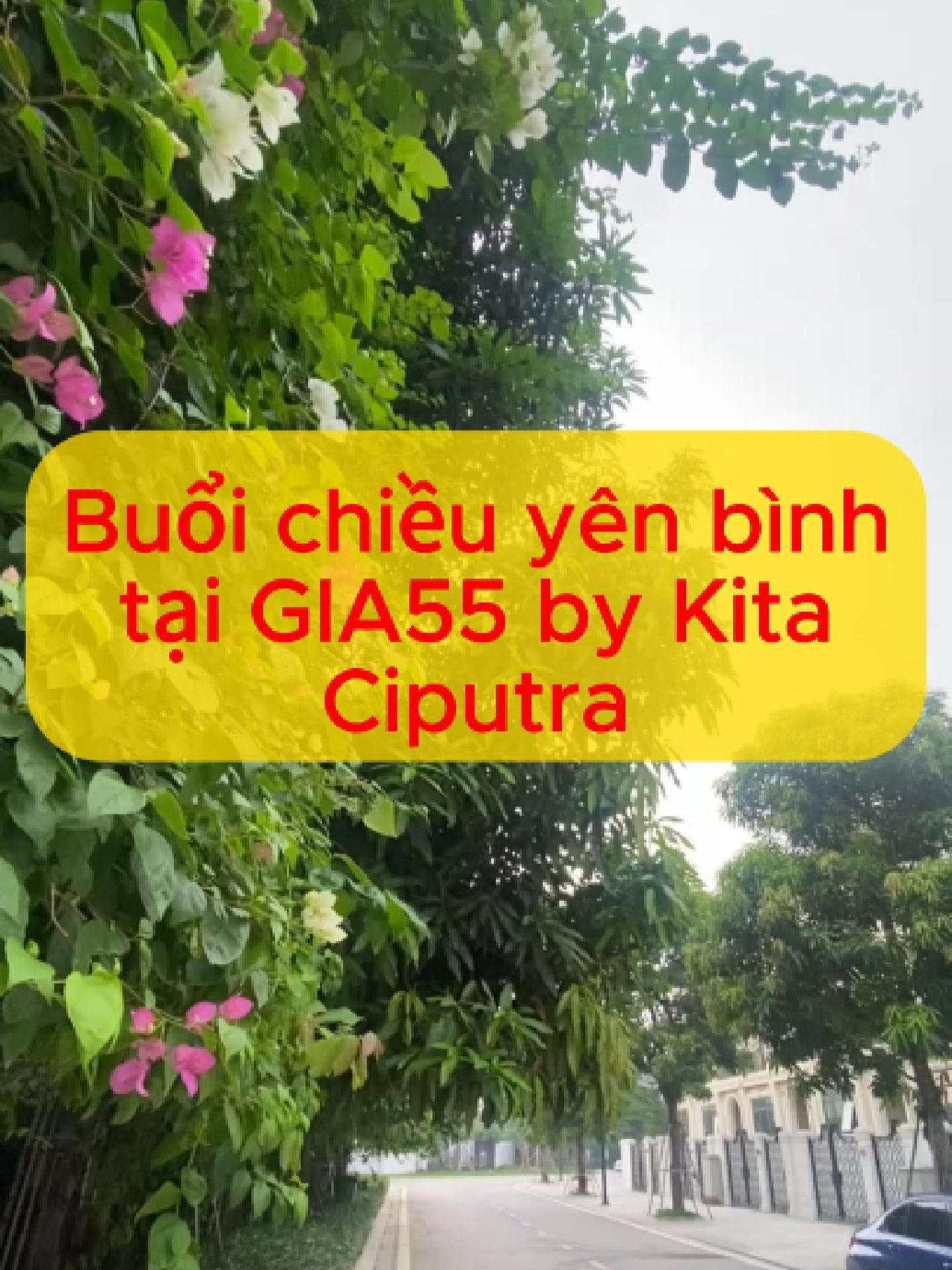 Buổi chiều yên bình tại Gia55 by Kita Ciputra #gia55 #giabykita #ciputra #toankhiem