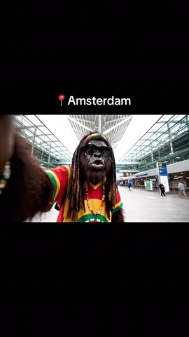Mi leave Amsterdam finally! #fyp #reggae #jamaicantiktok🇯🇲viral #jamaica 