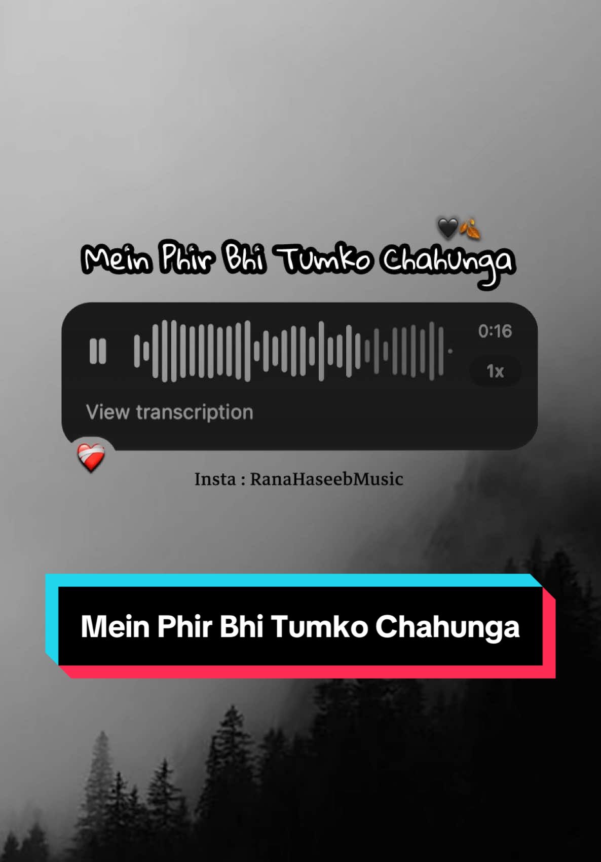 Mein Phir Bhi Tumko Chahunga ❤️‍🩹 #RanaHaseebMusic #foryoupage #viralvideo #viraltiktok #foryou #1m #ownvoice #viral #fyp #singing 