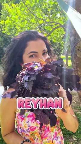 Receitinha de uma bebida bem refrescante: Reyhan #reyhan #turkey 