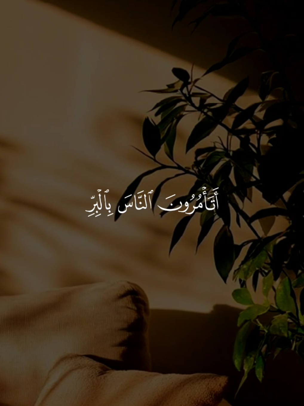 تدبروا الآيات 🤍 #قران #مشاري_العفاسي #quran #قران_كريم #تلاوة_خاشعة 