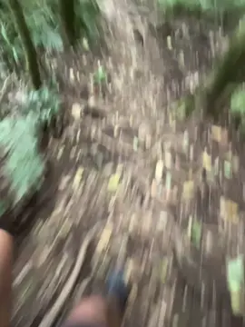 Masih pemula suhu🙏🏻 #trailrun #fyp #manusiakuat #pendakibingung #CapCut 