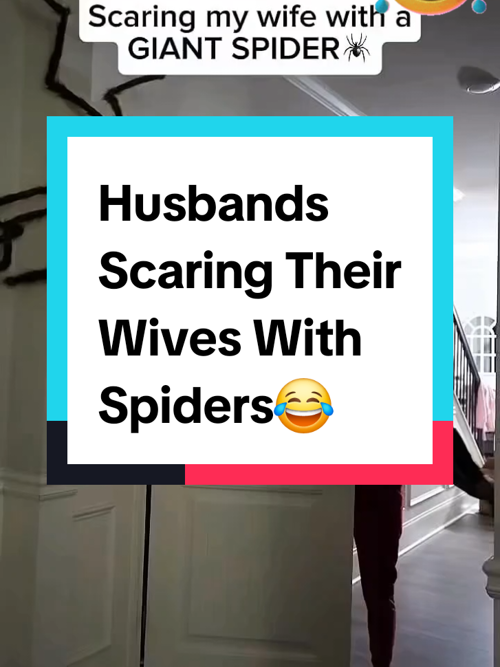 Husbands Scaring Their Wives with spiders😂 Spiders are scary lol. What would you do if your husband did this to you #fyp #viral #funnyvideo #spiders #scarytiktok #comedyvideo #funnytok #husbandandwife #husbandsoftiktok #wivesoftiktok 
