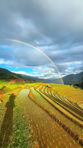 1 buổi chiều đẹp hoàng mỹ tại móng ngựa mù cang chải 🌈🌾#dulich #mucangchai #phuotluon #guide #ade 