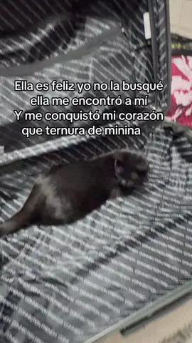 #amorde4patitas💕🐾 