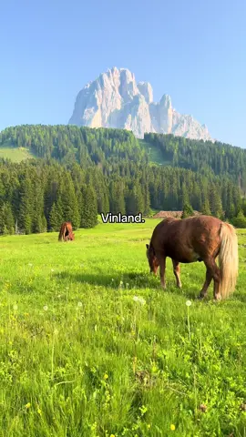 Found it guys #vinland #nature #mountains #views 