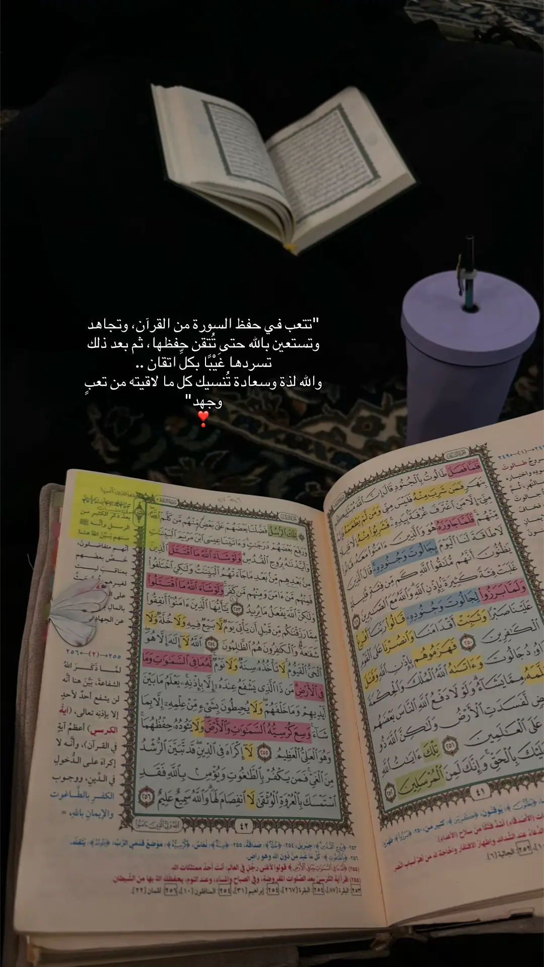 #حلقات #قران #الحرم_المكي #fypage #foryou #foryoupage 