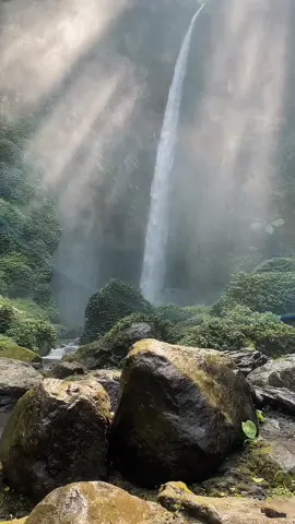 Sekedar tenang dan menikmati gemuruh nya air dari Coban Pelangi. Viewnya cantik bangeet  #cobanpelangi #cobanpelangimalang #cobanpelangi🌈 #malang #malanghits #malang24jam #malangterkini #exploremalang #exploremalangraya #exploremalangbatu #explorebatu #explorebatumalang #explorepasuruan #explorelumajang #nature #backtonature #airterjun #ruangbaru #ruangbarubarsena  #CapCut #fypp #fyppp