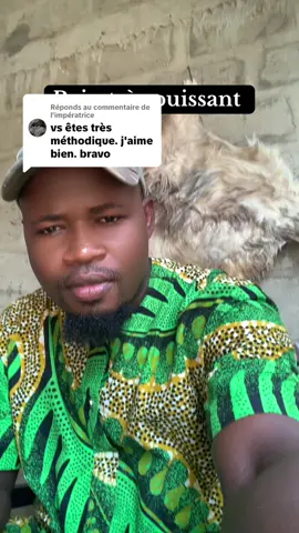 Réponse à @l'impératrice BAIN TRÈS PUISSANT #toutlemonde #plantesetspiritualite #fadatchê #baindepurification #baindedeblocageetpurification✨🍃😌 #deblocage #rituelabondance #france #etasunis🇺🇸 #guyanesetiktok🇬🇾 