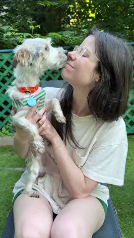 Words cannot describe how sweet this boy is 😭❤️ @Muddy Paws Rescue @Animal Care Centers of NYC 