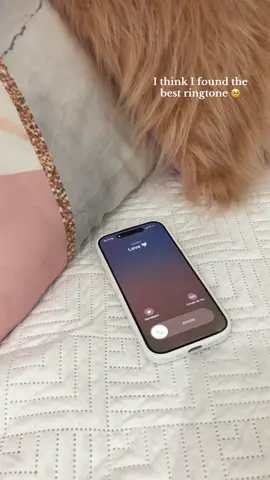 I think I found the best ringtone 🥹@ClipTone #fy #fyp #aesthetic #girly #iphone #ringtone #iphone #cliptone #apple 